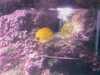 20080802190154-IMAG0484.jpg