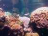20080802190218-IMAG0486.jpg