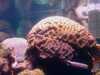 20080802190255-IMAG0488.jpg
