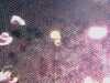 20080802190355-IMAG0490.jpg