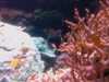 20080802190605-IMAG0494.jpg