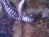 20080802190750-IMAG0498.jpg