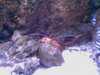 20080802190804-IMAG0499.jpg