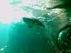 20080802191215-IMAG0508.jpg