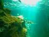20080802191241-IMAG0510.jpg