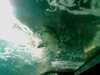 20080802191315-IMAG0512.jpg