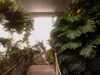 20080802191359-IMAG0514.jpg