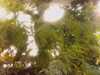 20080802191426-IMAG0516.jpg
