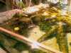 20080802191524-IMAG0518.jpg