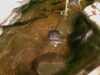 20080802192109-IMAG0528.jpg