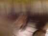 20080802192123-IMAG0529.jpg