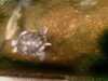 20080802192134-IMAG0530.jpg