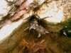 20080802192158-IMAG0531.jpg
