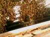 20080802192250-IMAG0534.jpg