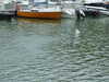 20080802132727-DSCF2341.JPG