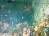 20080802175952-IMAG0370.jpg