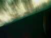 20080802184442-IMAG0442.jpg