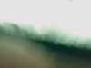 20080802184637-IMAG0449.jpg