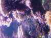 20080802185440-IMAG0468.jpg