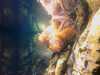 20080802185653-IMAG0475.jpg
