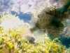 20080802185812-IMAG0478.jpg
