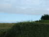 20080804101548-DSCF2538.JPG