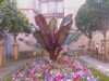 20080805180956-IMAG0566.jpg