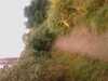 20080806153844-IMAG0583.jpg