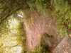 20080806195122-IMAG0606.jpg