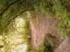 20080806195211-IMAG0607.jpg