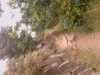 20080806200800-IMAG0613.jpg