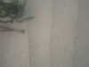 PICT0005.JPG