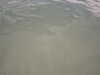 PICT0007.JPG