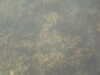 PICT0028.JPG