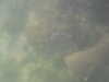 PICT0029.JPG