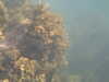 PICT0031.JPG