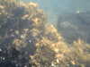 PICT0032.JPG