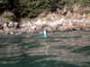 PICT0033.JPG