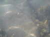 PICT0035.JPG