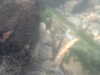 PICT0036.JPG