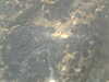 PICT0037.JPG