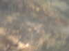 PICT0038.JPG