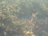 PICT0040.JPG
