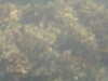 PICT0041.JPG