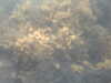 PICT0042.JPG