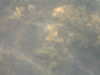PICT0043.JPG