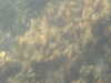 PICT0044.JPG