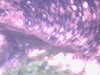 PICT0046.JPG