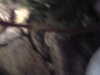 PICT0047.JPG