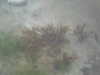 PICT0050.JPG